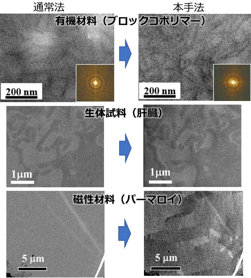 図2. 本手法を用いた有機材料・生体試料・磁性材料のイメージング例