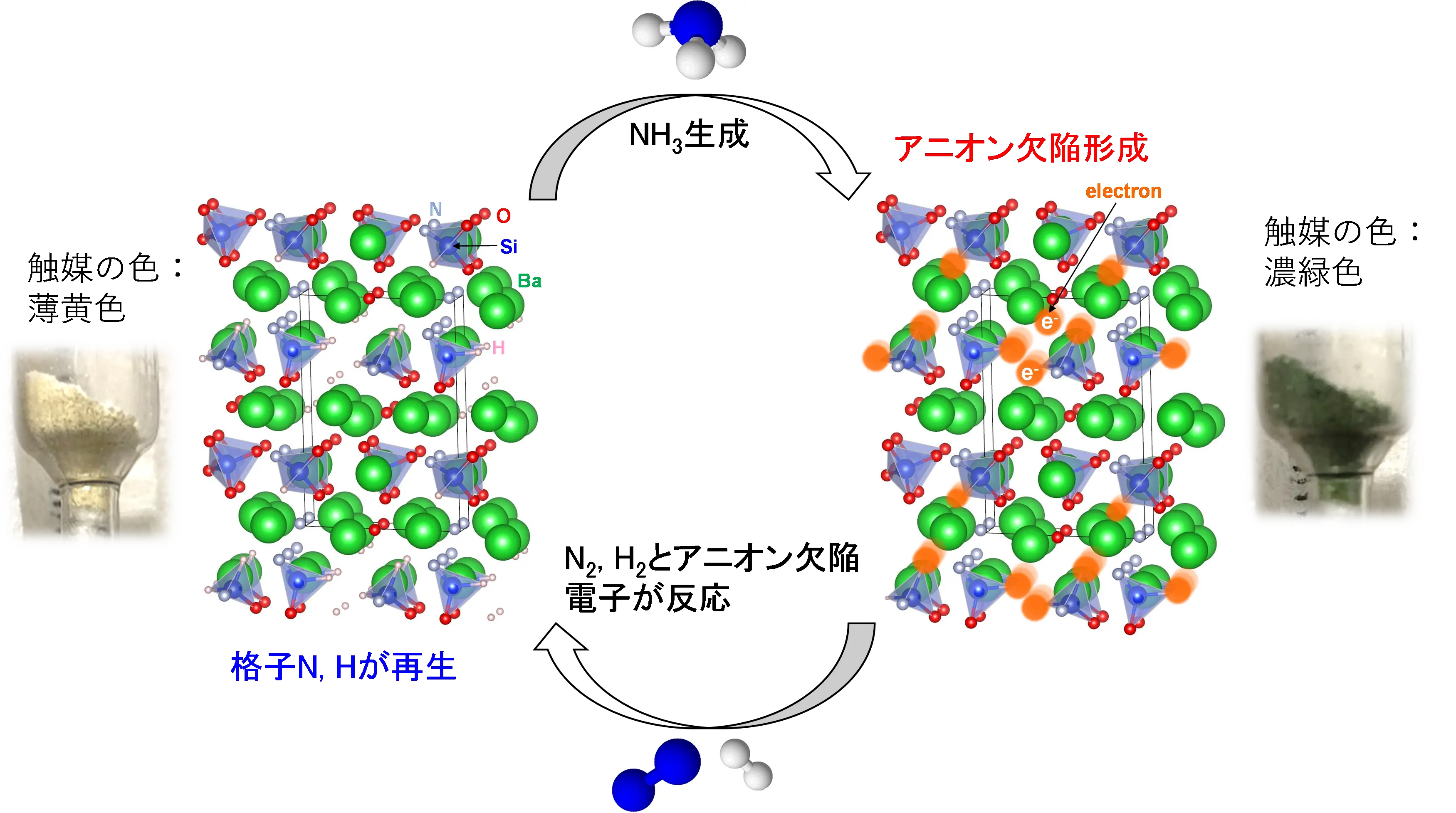 図3. Ba<sub>3</sub>SiO<sub>5-x</sub>N<sub>y</sub>H<sub>z</sub>触媒のアンモニア合成反応における作動原理（青い球が窒素原子、白い球が水素原子）