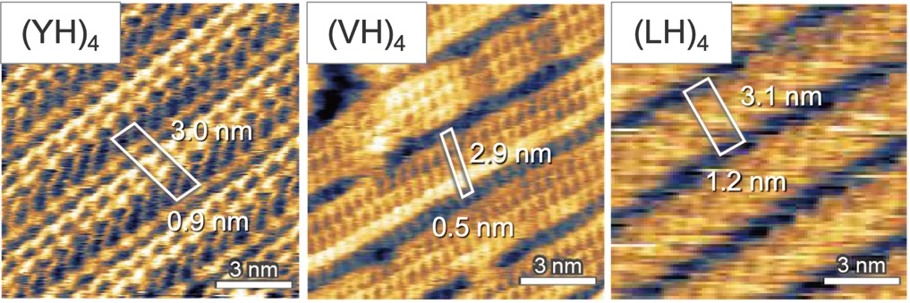 Figure 2. In situ FM-AFM images showing the unit cells of individual peptide assemblies on graphite. ©2025 American Chemical Society