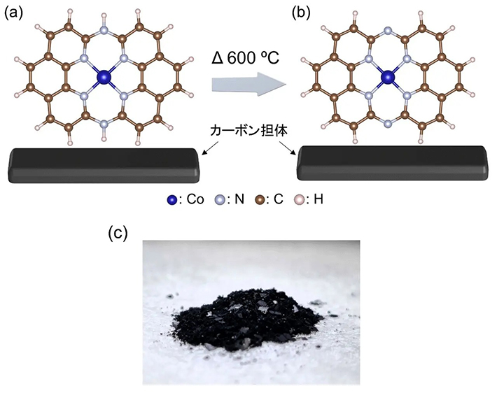 図1. 本研究で開発したCo-14MR/C触媒の模式図：（a）熱処理前、（b）600℃熱処理後。（c）触媒粉末の写真。