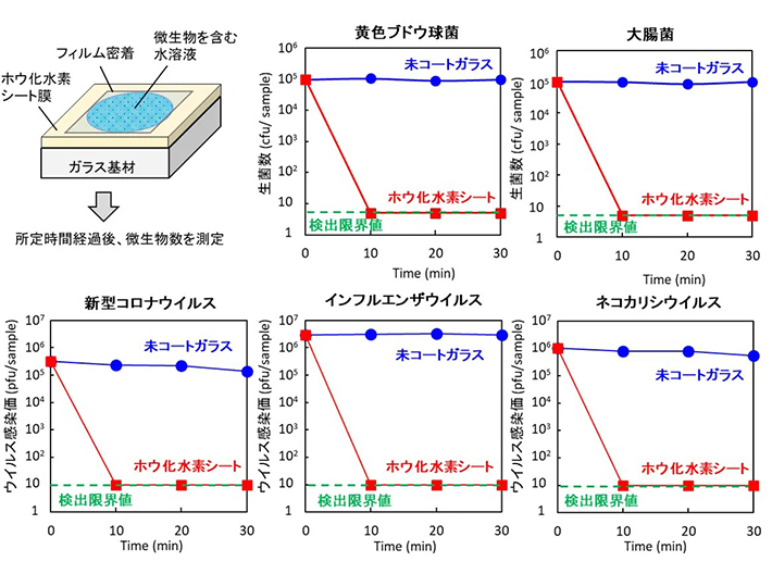 図3. 抗菌・抗ウイルス試験の結果。ホウ化水素シートをコートしたガラスに菌、ウイルスを接触させたときの菌数、ウイルス数の変化（コートしていないガラスに接触させた場合と比較）