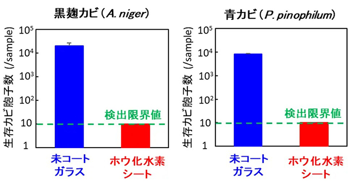 図4. ホウ化水素シートをコートしたガラスに黒麹カビ、青カビを24時間接触させた場合の生存カビ胞子数（コートしていないガラスに接触させた場合と比較）。