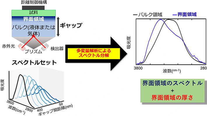 図1. 本研究手法の概略図