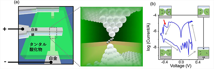 図1. (a)本研究で作製した素子の概念図 (b)印加電圧操作によるアセチレン分子接合の作製