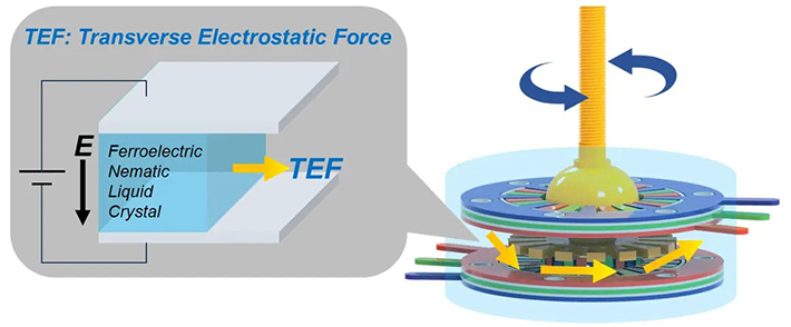 図1.電界に垂直方向に働く静電力TEFを利用した強誘電モータの概念図