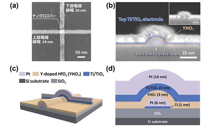 図1．（a）25 nmスケールのナノクロスバー構造のTi/TiO<sub>x</sub>/YHO<sub>7</sub>（3 nm）/Pt強誘電トンネル接合（FTJ）の上面SEM画像。（b）ナノクロスバーTi/YHO<sub>7</sub>/Pt構造の断面SEM画像。Ti/TiO<sub>x</sub>層（青）、YHO<sub>7</sub>層（淡黄褐色）、Pt層（紫）。右上挿入図に原画像を示す。（c）ナノクロスバーTi/TiO<sub>x</sub>/YHO<sub>7</sub>/Pt FTJの3D模式図および（d）断面図。