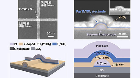 強誘電トンネル接合メモリーのTER比は微細化により向上
