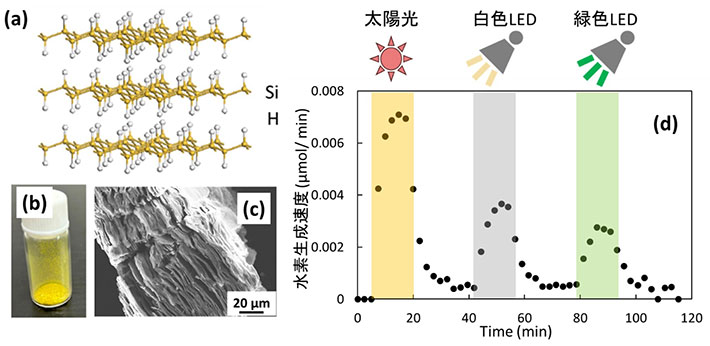 図1. 層状水素化シリカンの結晶構造（a）、粉末の写真（b）、走査型電子顕微鏡像（c）、可視光による水素放出特性（d）。可視光は疑似太陽光、白色LED、緑色LEDを用いた。