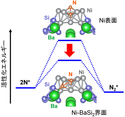 図3. Ni/BaSi<sub>2</sub>触媒のNi表面またはNi-BaSi<sub>2</sub>界面でのN–Nカップリング反応の活性化エネルギーの違い