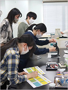  Participant characterizing dimensions of fabricated ferrite pellet