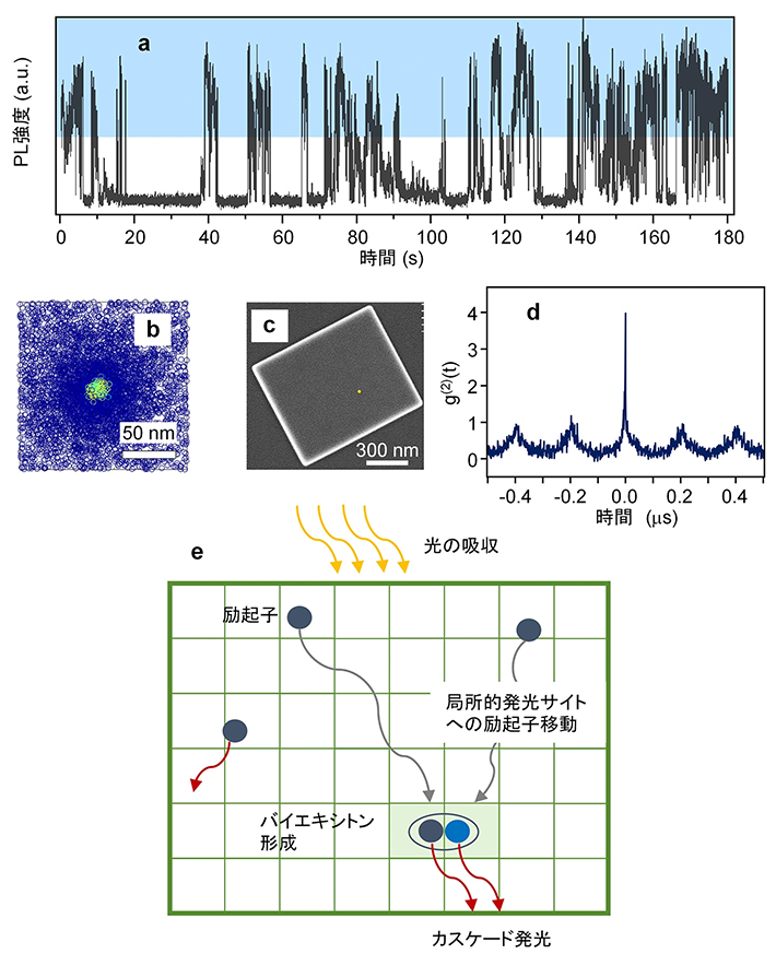 図2. （a）フォトルミネセンス強度の測定結果。
