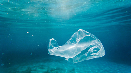 低濃度CO2で生分解性プラスチックの微生物生産を促進