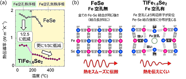 図2. TlFe<sub>1.6</sub>Se<sub>2</sub>とFeSe結晶の(a)熱電出力および(b)ゼーベック係数の温度依存性。