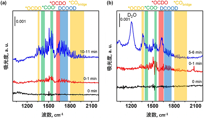 図4. CO<sub>2</sub>還元中のCuS電極触媒のその場FT-IRスペクトル。(a)電位ステップ条件下、(b)定電位条件下。
