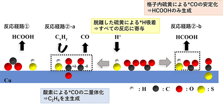 >図7. 電位ステップ法によるCuS上でのCO<sub>2</sub>還元における想定される反応機構