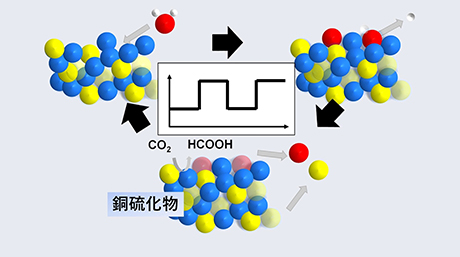 反応中の金属硫化物系電極触媒の状態を特定