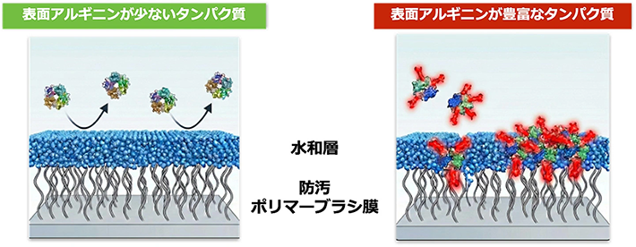 図3.今回提案したCORDICを用いないデジタルポーラ変調送信機の構成