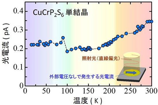 図1. CuCrP<sub>2</sub>S<sub>6</sub>単結晶に光照射し、外部電圧ゼロで発生する光電流の温度変化を測定した結果