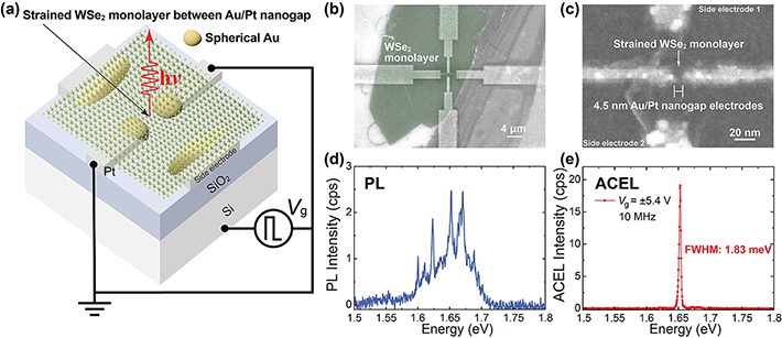 図1. サブ5nm Au/Ptナノギャップを用いた単層WSe<sub>2</sub>発光素子と狭線幅電界発光