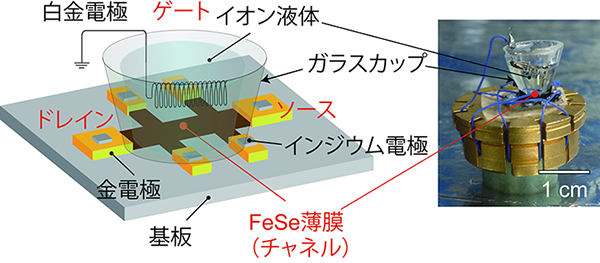 本研究で作製した電気二重層トランジスタの概略図（左）と実際の写真（右）