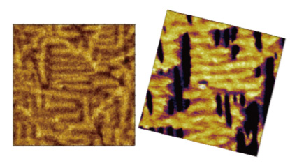 BiFe0.9Co0.1O3 薄膜の磁気力顕微鏡像（左）と圧電応答顕微鏡像（右）。強誘電ドメインと強磁性ドメインの相関が明らかになってきました。