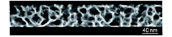 Pd多孔質薄膜の断面走査透過電子顕微鏡像（Pd：白い部分）