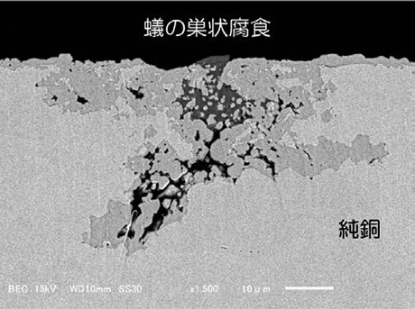 ギ酸蒸気中で発生した銅の蟻の巣状腐食の断面写真（文字通り、蟻の巣のような特異な局部腐食形態を示す）