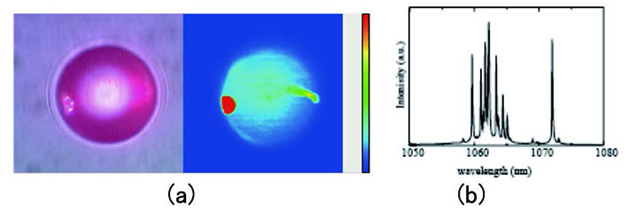 （a）気泡含有ガラス微小球の発光強度マッピング　（b）レーザー発振スペクトル