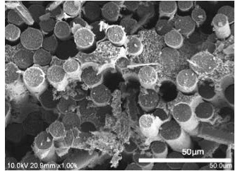 炭化ケイ素繊維強化炭化ケイ素基（SiCf/SiC）複合材料の微構造SEM写真
