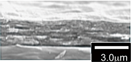 硫酸浴中で作製したアルミナ膜の断面SEM像