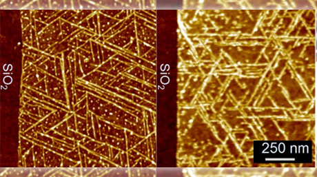 2次元ナノシート表面に"整列"するペプチドを開発