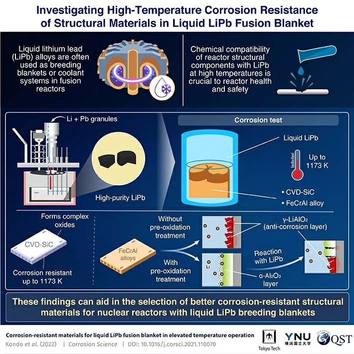 Investigating High-Temperature Corrosion Resistance of Structural Materials in Liquid LiPb Fusion Blanket