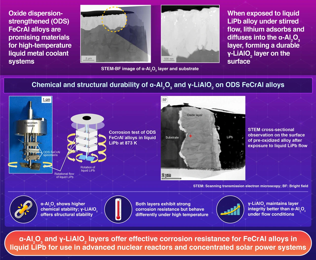 Chemical and structural durability of α-Al<sub>2</sub>O<sub>3</sub> and γ-LiAlO<sub>2</sub> layers formed on ODS FeCrAl alloys in liquid lithium lead stirred flow Kondo <i>et al</i>. (2024) | <i>Corrosion Science</i> | 10.1016/j.corsci.2024.112459