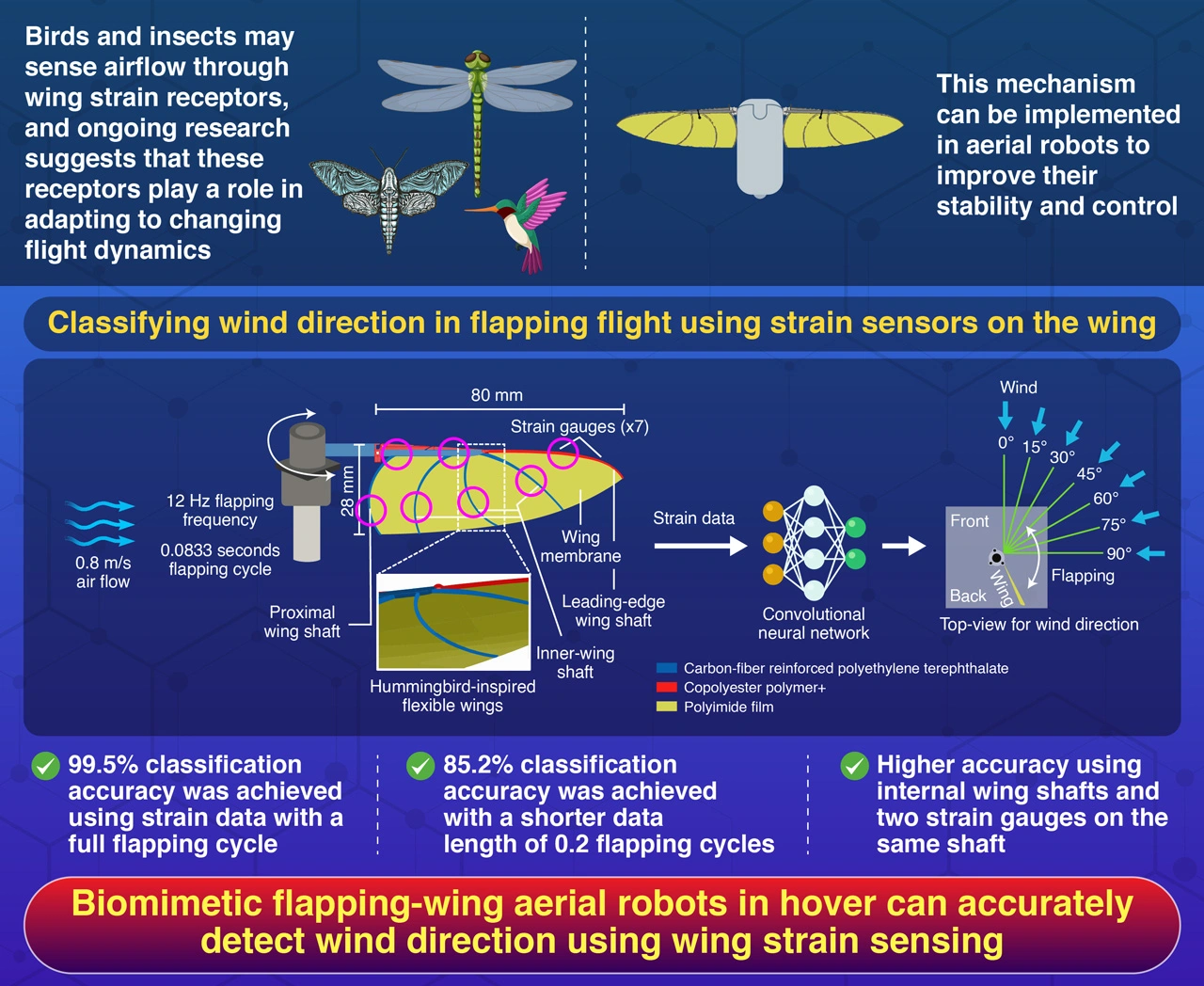 Machine Learning-Based Wind Classification by Wing Deformation in Biomimetic Flapping Robots: Biomimetic Flexible Structures Improve Wind Sensing, Kubota and Tanaka (2024) | Advanced Intelligent Systems | 10.1002/aisy.202400473