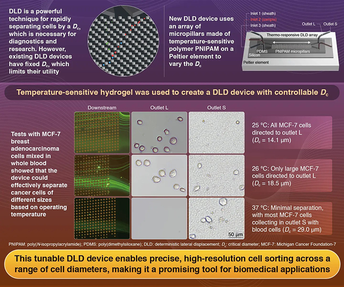 Tunable Cell Separation Using a Thermo-Responsive Deterministic Lateral Displacement Device