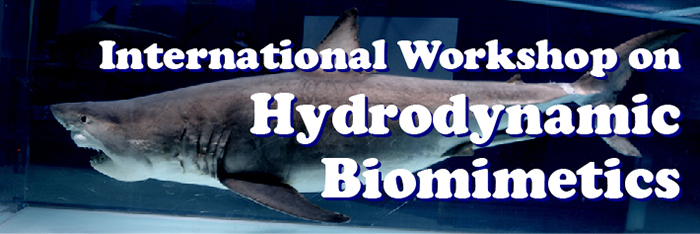 2017 Tokyo Tech International Workshop on Hydrodynamic Biomimetics