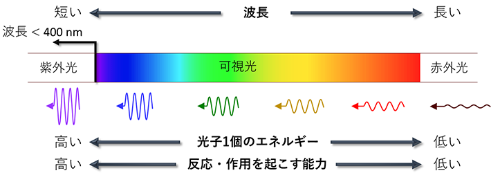 光の波長による分類と光子の性質