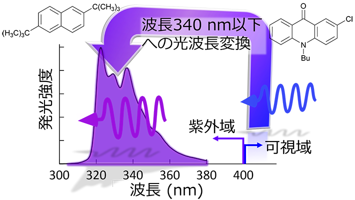 開発した試料によるUC発光スペクトル（入射光波長：405 nm）。図中の分子は、用いたアクリドン誘導体（右：増感分子）およびナフタレン誘導体（左：発光分子）。