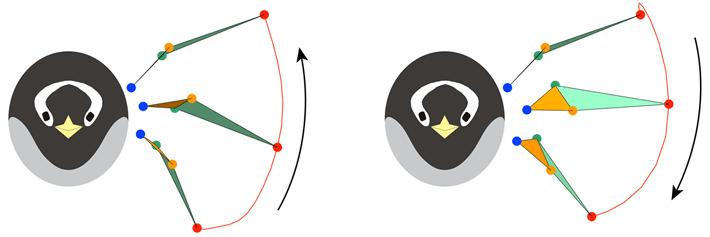 図2 正面から見た打ち上げ中の翼形状（左）と打ち下ろし中の翼形状（右）の例。