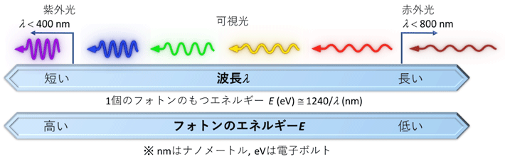 図1 光の波長λとフォトン（光子）1個のもつエネルギーEとの関係。 