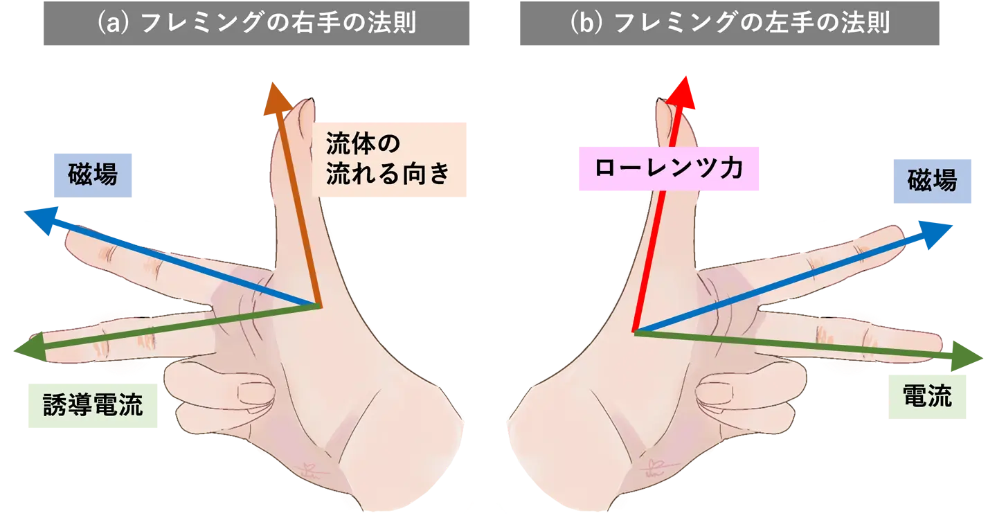 図4. 誘導電流の発生とそれによるローレンツ力の発生、(a) フレミングの右手の法則、(b) フレミングの左手の法則