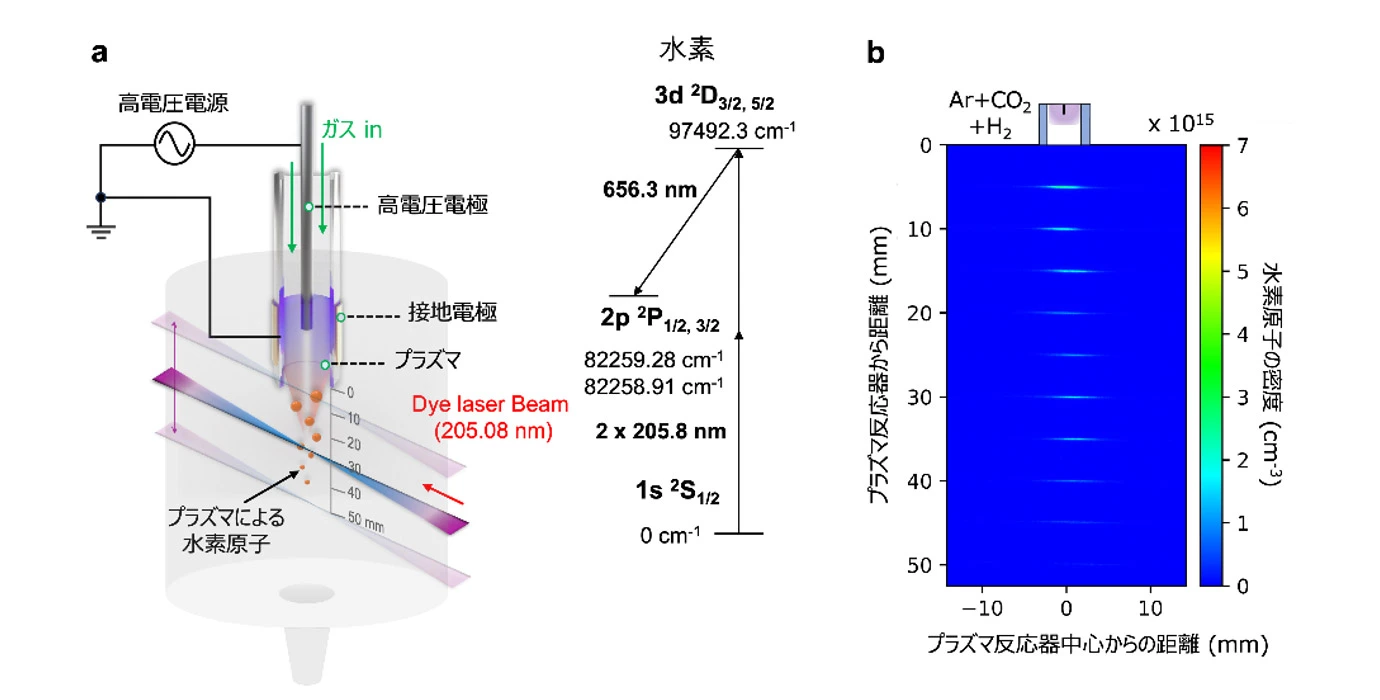 図2.（a）二光子吸収レーザー誘起蛍光法の構成。レーザー光によって励起準位（3d<sup>2</sup>D）に励起された後、下方準位（2p<sup>2</sup>P）に蛍光を放出して遷移する。（b）プラズマ反応器の出口から5 mm間隔で計測した蛍光の強度。これを水素原子の絶対密度に換算する。