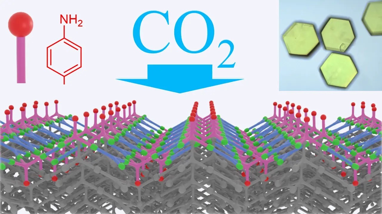 卓越したCO₂分離回収性能を持つ新型多孔材を開発