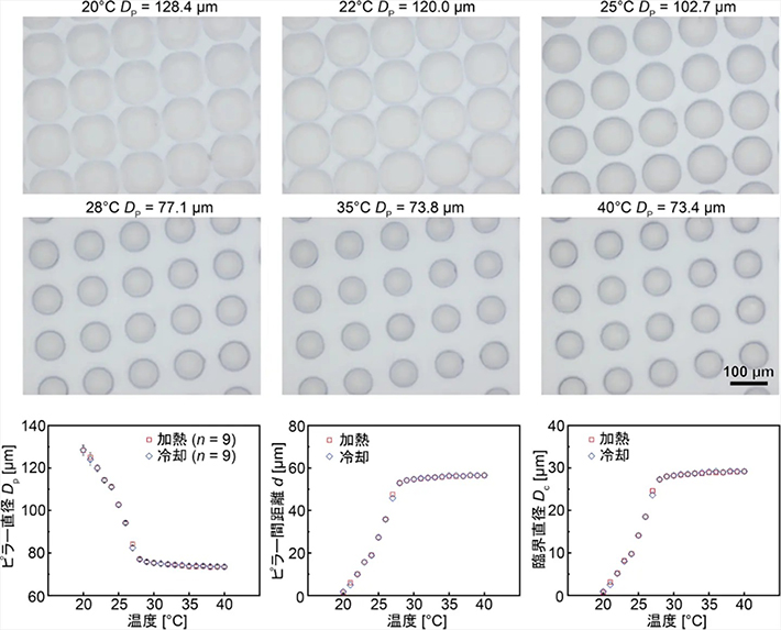 図2. 温度に対応するピラー径(<i>D</i><sub>P</sub>)，ピラー間距離(<i>d</i>），および臨界径(<i>D</i><sub>C</sub>)の変化の様子