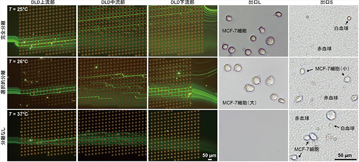 図3. 温度制御による3つの分離モードの切替の様子