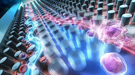 温度で細胞を自在に分ける細胞選別チップを開発