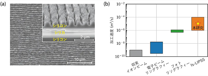 図2. フェムト秒レーザ誘起周期表面構造の電子顕微鏡像(a)と加工速度の比較(b)