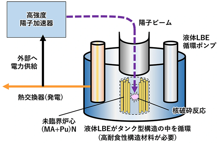 図1.液体LBEターゲット式の加速器駆動型未臨界炉（ADS）の概要