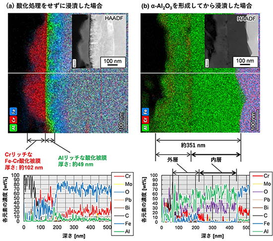 図3. 流動LBEに2,000時間浸漬したFeCrAl合金の表層断面STEM／EDX分析の結果、（a）表面研磨したままで浸漬した場合、（b）酸化処理により表面にα-Al<sub>2</sub>O<sub>3</sub>被膜を形成してから浸漬した場合。