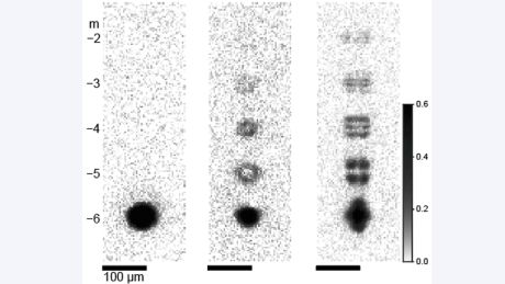 磁性量子気体におけるアインシュタイン=ド・ハース効果の観測